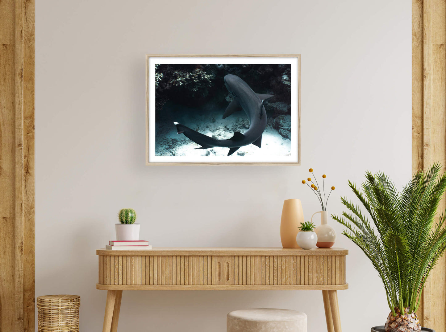 Augmented Reality Reef shark from New Caledonia