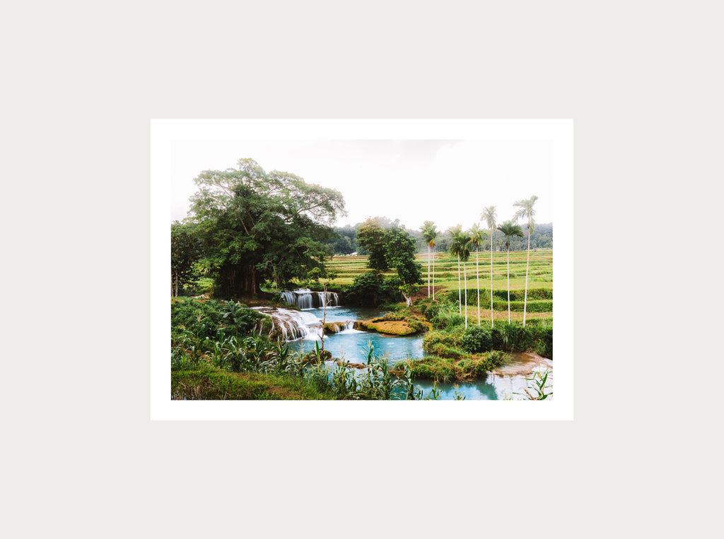 Coin de paradis