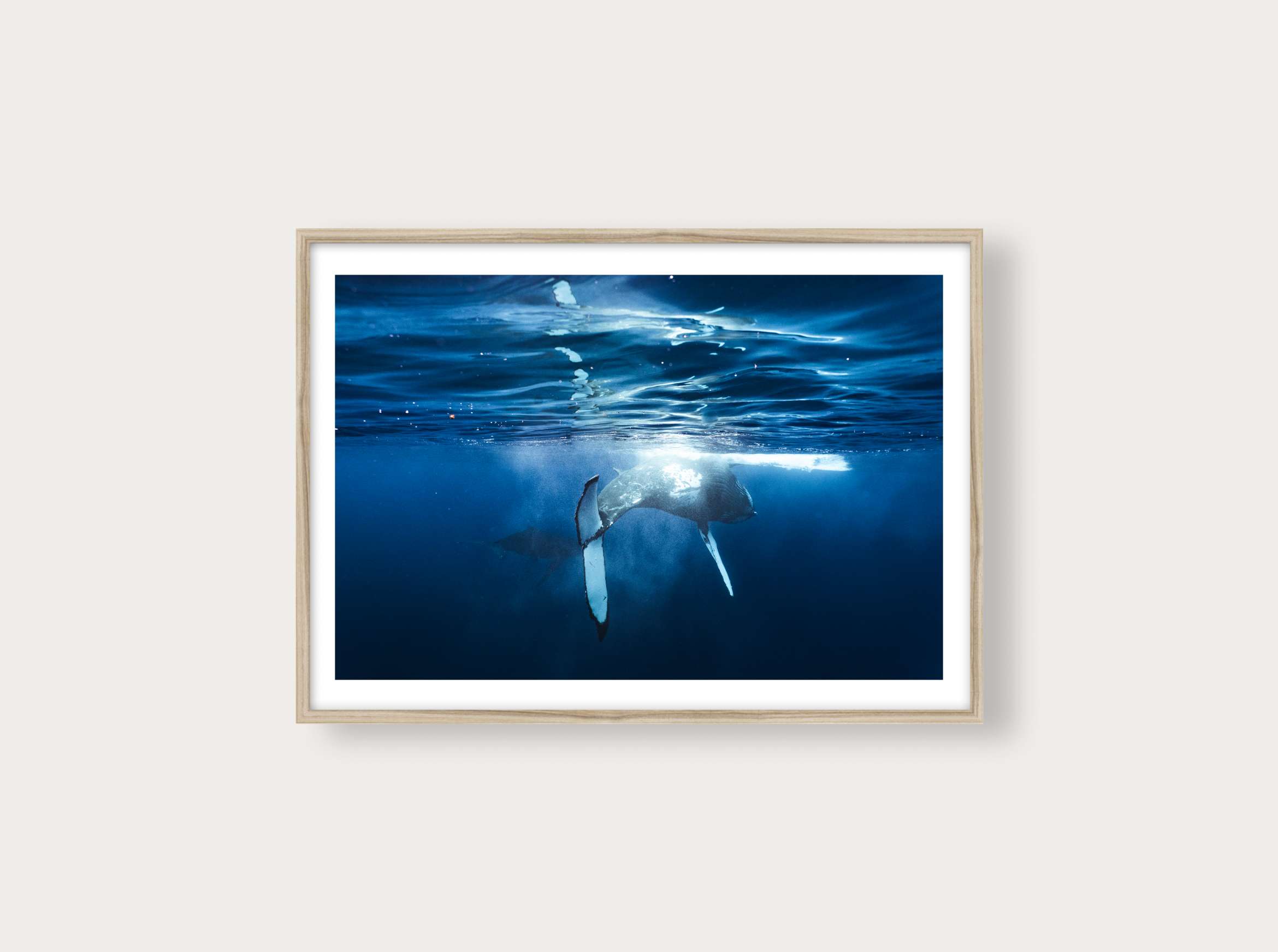 Un couple de baleines de Tahiti