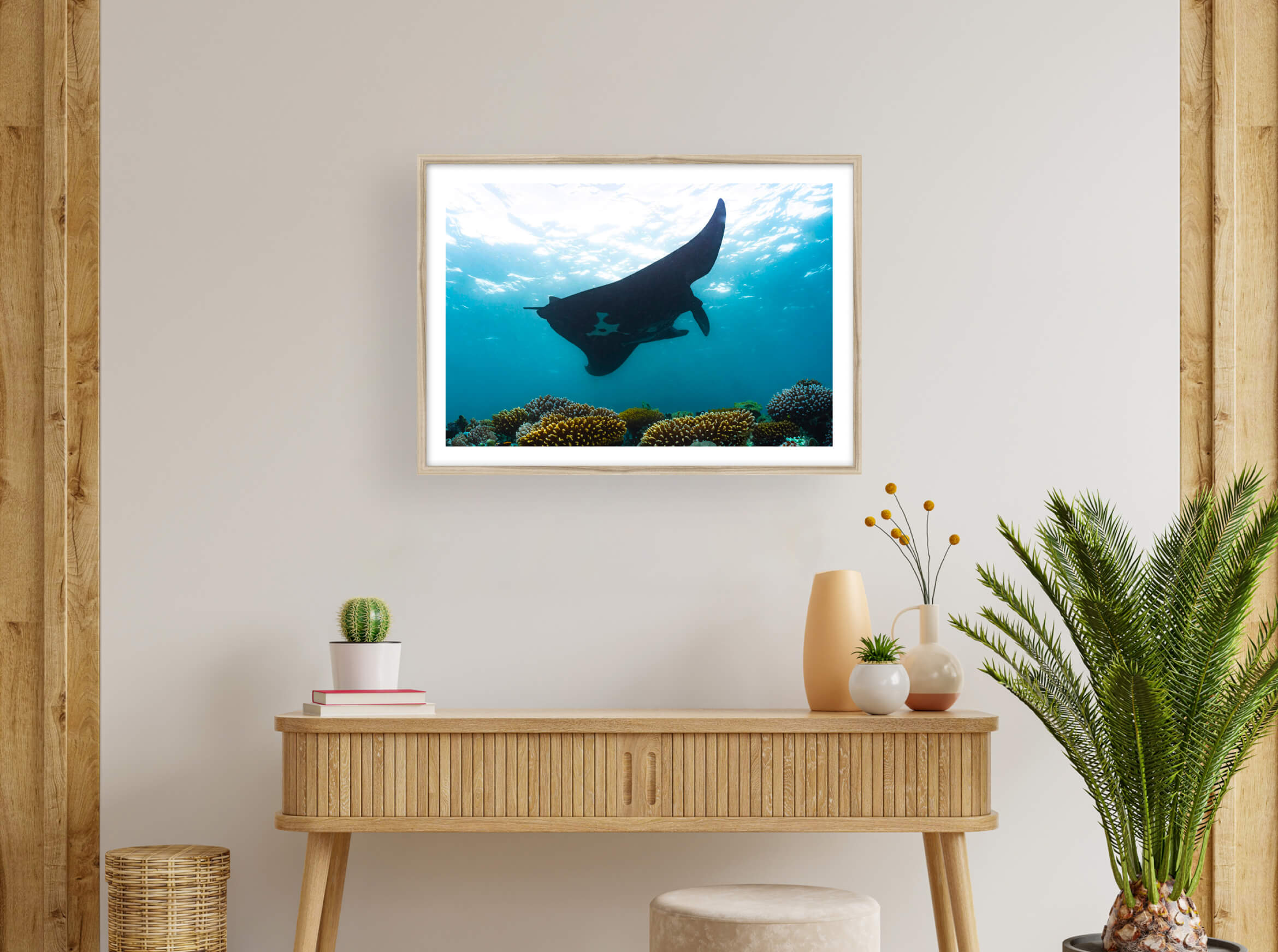 Manta noire en réalité augmentée de Nouvelle-Calédonie