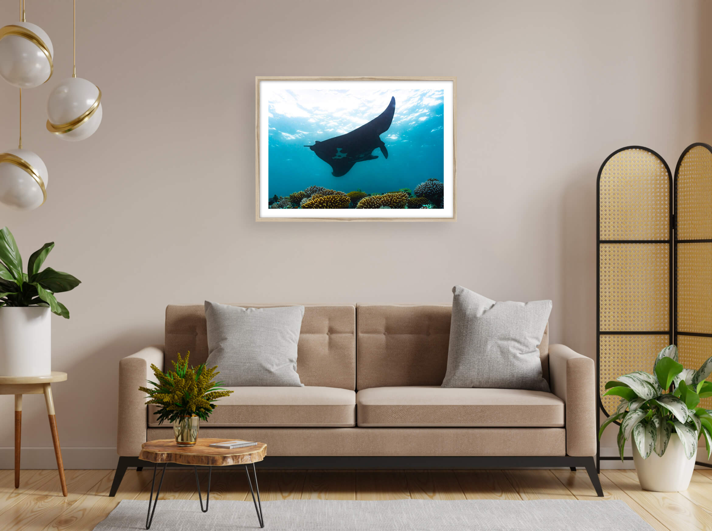 Manta noire en réalité augmentée de Nouvelle-Calédonie