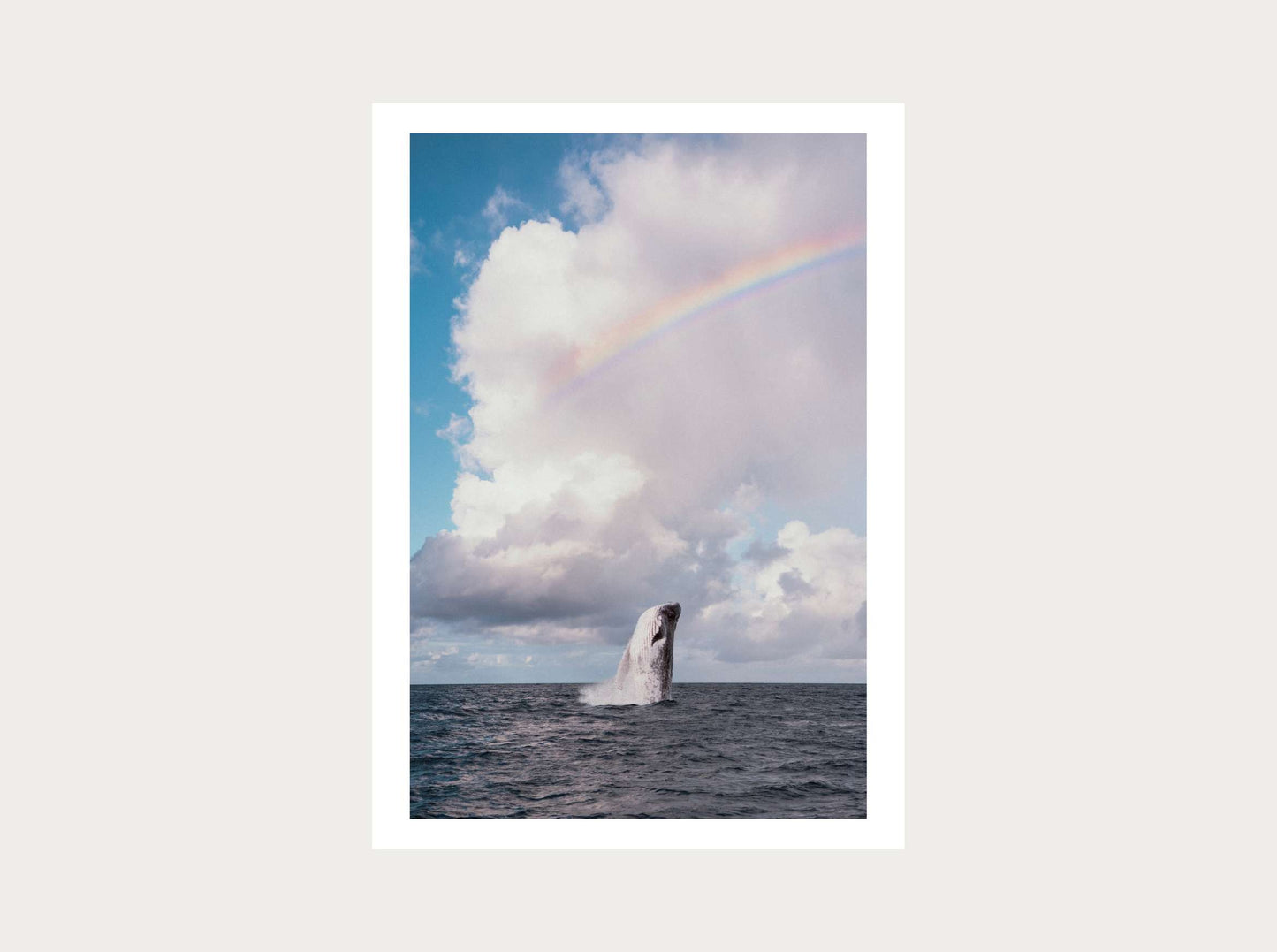 Rainbow Whale from Tahiti